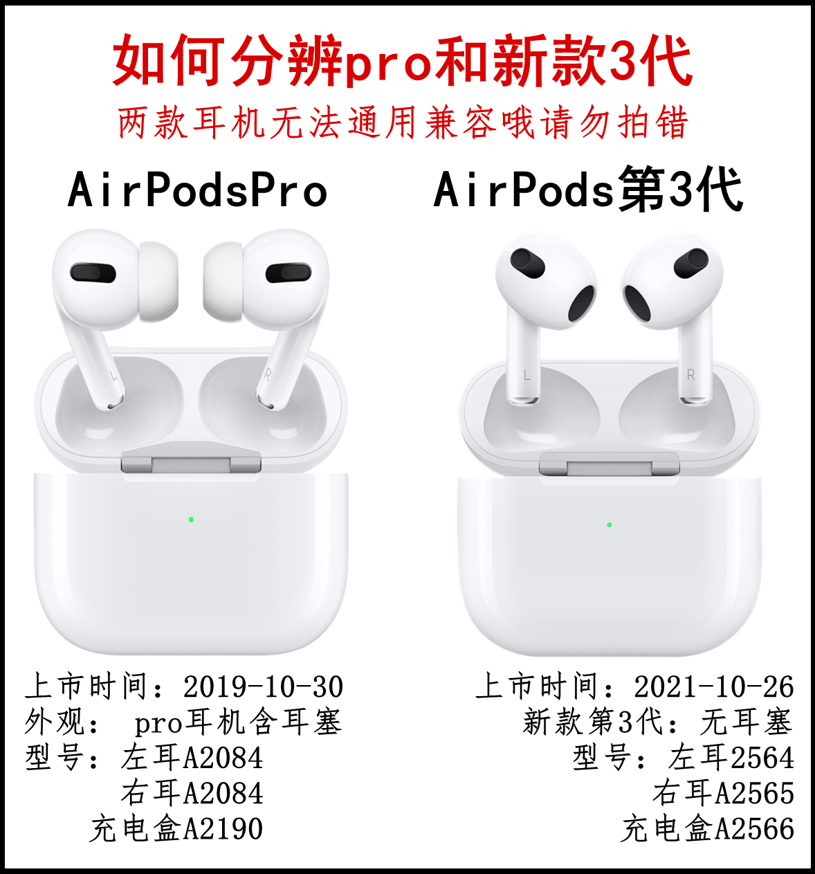 AirPods Pro 左耳 - イヤホン