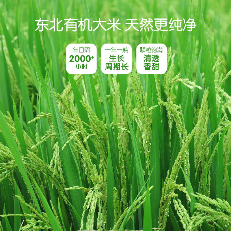 伊威婴儿有机高铁米粉婴幼儿大米粉 宝宝营养辅食米糊无小麦6月+