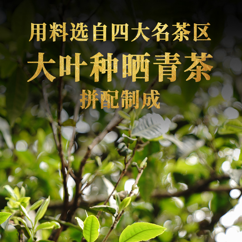 下关沱茶青心紧茶云南普洱生茶250克2015年宝焰牌茶叶高原仓正品-图3