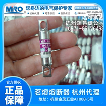 Drinking lava RGS14 GSB 500V 10A bolt connected type fuse fast