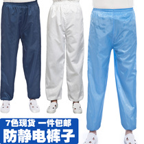 Anti-static pants dust-free clothes split suit blue Foxconn factory dust cleaning purifying working clothes male and female