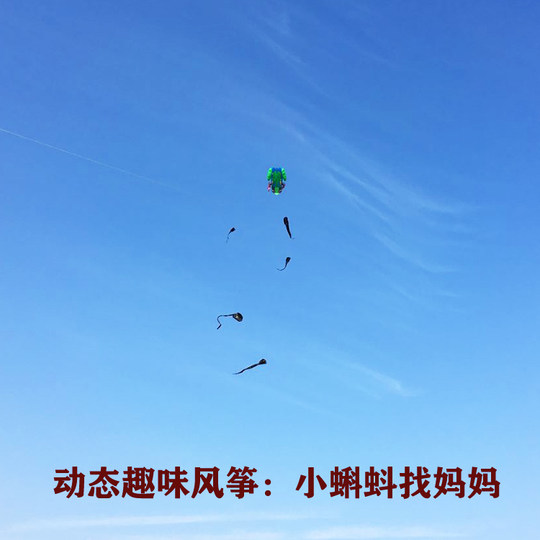 新奇特大型软体高档风筝成人儿童青蛙无骨架微风易飞方便携带新品
