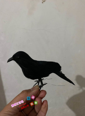 仿真摄影道具教学演示园林景观