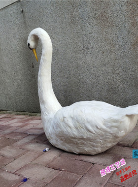 婚礼舞台儿童摄影道具装饰摆件