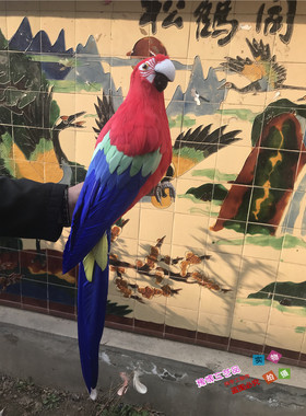 仿真橱窗园林金刚鹦鹉摆件