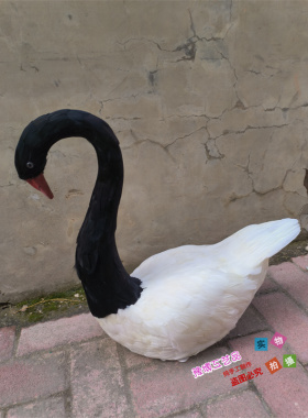 仿真羽毛天鹅模型天鹅湖主题婚礼舞台装饰摆件儿童影视摄影道具