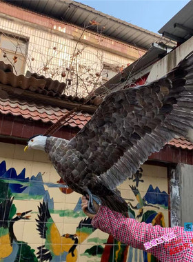 仿真园林影视拍摄道具模型