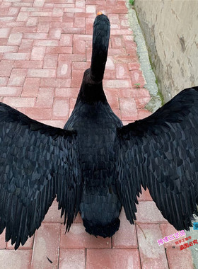 仿真摄影道具商场白天鹅园林景观