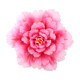 Peony flower dance props children's stage performance hand flower square dance hand flower sports meeting entrance creative props