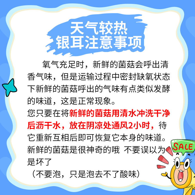 古松福建特产古田新鲜银耳非干货雪耳丑耳 白木银耳莲子羹6朵700g