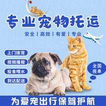 Zhengzhou Pet Consignment Pet Consignment Quarantine Handling Air Train Pet Special Car Random Procedures