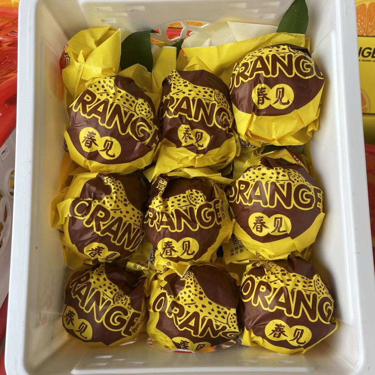 金钱豹春见粑粑柑礼盒5斤新鲜水果丑八怪橘子皮薄多汁豹子耙耙柑,淘宝优惠券,粉丝福利购,淘宝优惠卷