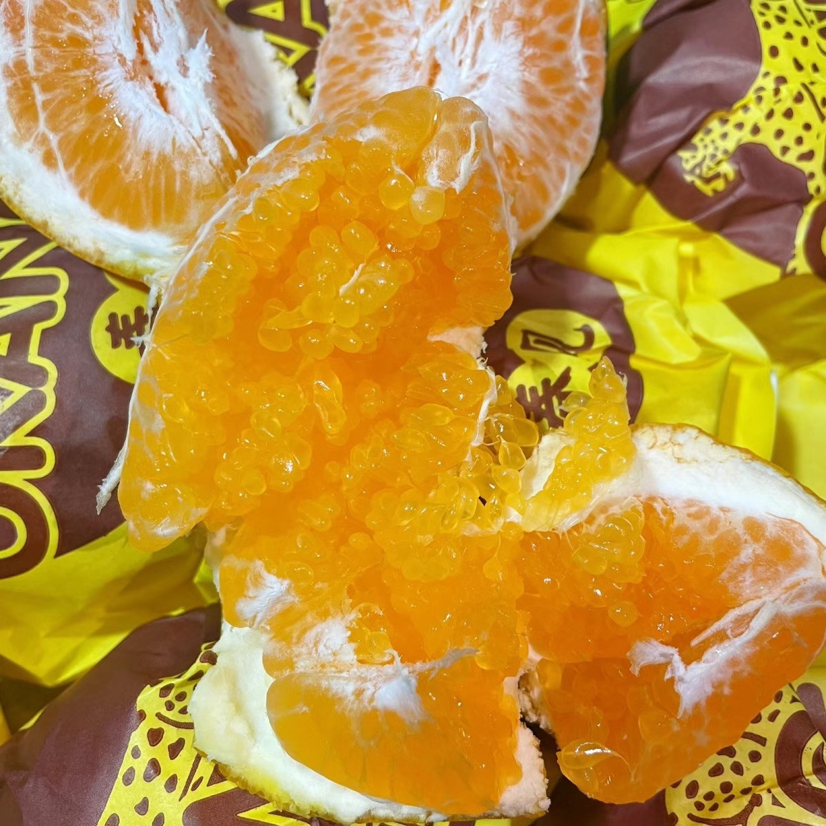 金钱豹春见粑粑柑礼盒5斤新鲜水果丑八怪橘子皮薄多汁豹子耙耙柑,淘宝优惠券,粉丝福利购,淘宝优惠卷