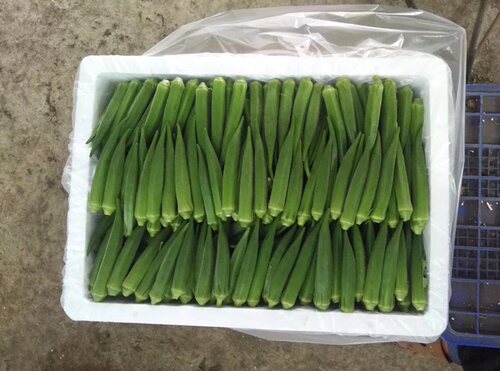 黄秋葵专用物理气调保鲜袋蔬菜袋果蔬塑料防雾袋30斤装，100个 - 图0