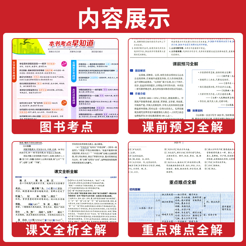 2024薛金星中学教材全解高中教材资料书语文数学英语物理化学生物历史地理政治选择性必修第一二三上下册同步解读考点习题答案解析-图2