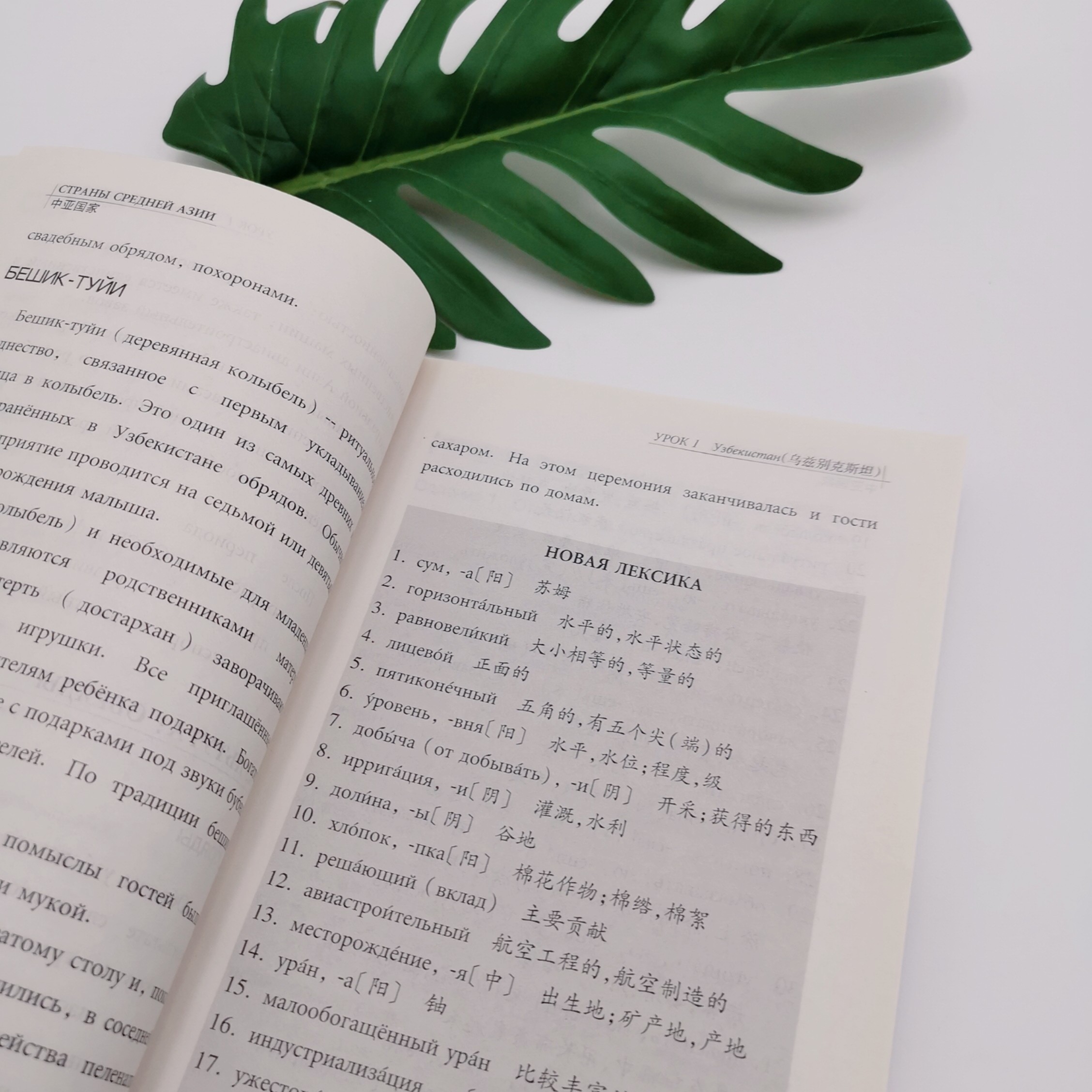 俄语通用国家文化概览俄文版周红梅,李青洁,耶芙辛娜编著 9787563729142俄罗斯以外其他俄语通用国家的基本经济文化及风土人情_虎窝淘