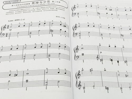 C调上的舒伯特 快乐钢琴家系列 快乐钢琴家5 日本雅马哈音乐媒体公司提供版权 原版引进图书 上海音乐出版社自营 - 图2