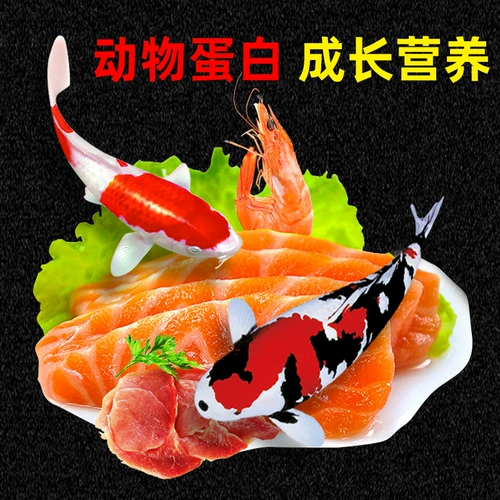 Koi Fish Feed Goldfish Food Декоративная рыба небольшая шарика рыба.
