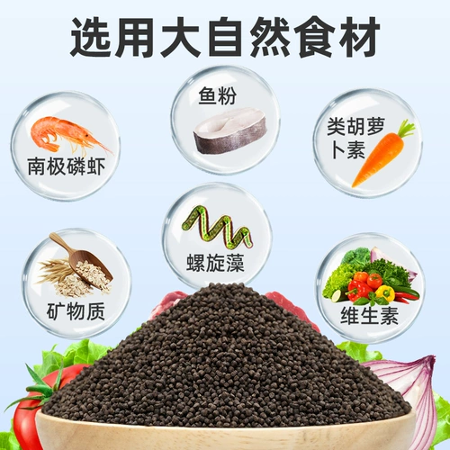 Санху цихлид кормил рыбу, лошади, ананасы, ананас, рыба