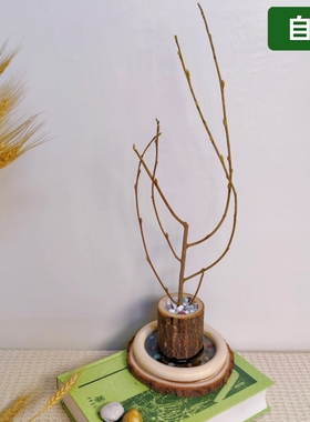 天然实木干花花瓶田园风装饰摆件