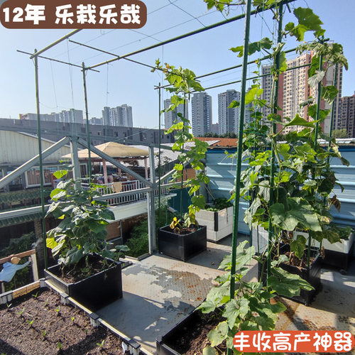 种植箱爬藤架种菜专用箱拱形立体种植架子户外楼顶阳台种瓜特大 - 图0