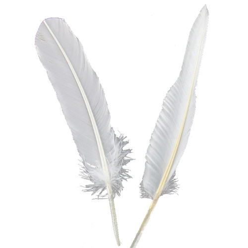 diy白色手工羽毛大小号各种款集合舞台婚庆饰品配件工艺装饰辅料 - 图3
