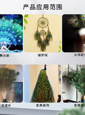 5根diy羽毛孔雀剑家居摆件