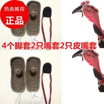 Cockpit Rooster Foot Sleeve Rooster Training Guard Fighting Chicken Feet Cover Mouth Set Docile Chicken Domestication Supplies Fighting Chicken Cockpit Bull Cock Fighting Chicken