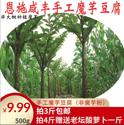 湖北恩施咸丰特产正宗黑魔芋豆腐农家纯手工制作食用豆腐4斤包邮 - 图2