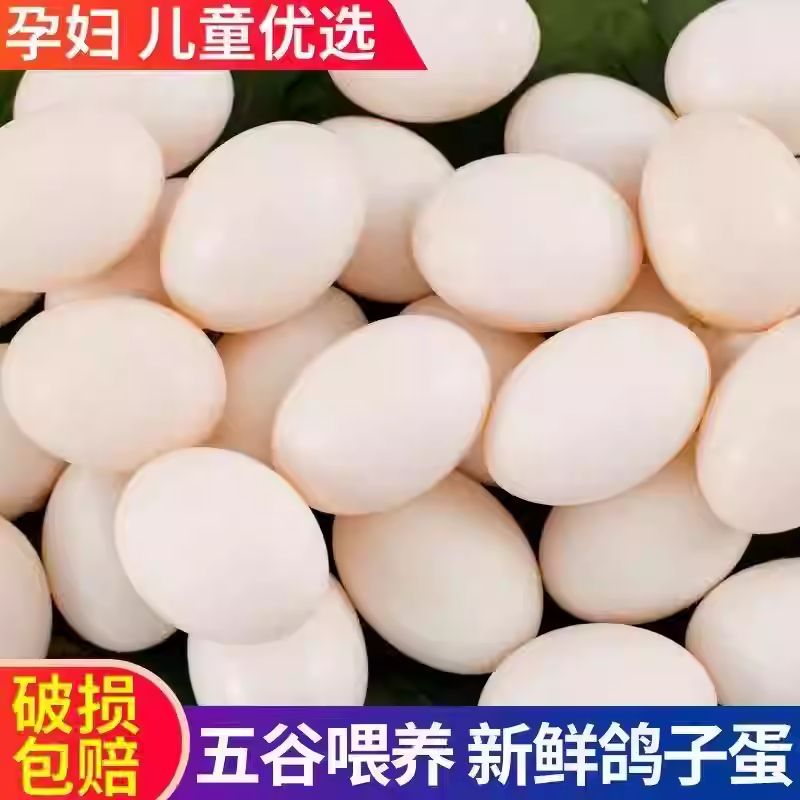鸽子蛋新鲜初生蛋农家五谷杂粮散养孕妇宝宝营养送礼佳品,淘宝优惠券,粉丝福利购,淘宝优惠卷
