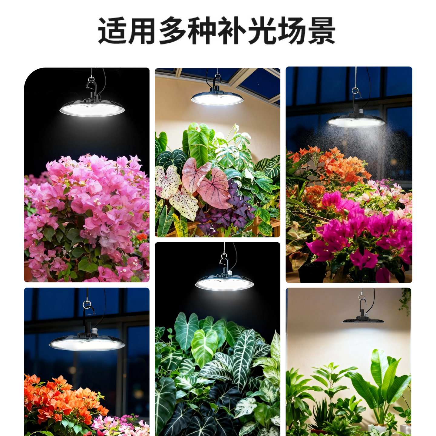 新品三思全光谱植物补光灯室内家用绿植月季三角梅仿太阳光生长灯,淘宝优惠券,粉丝福利购,淘宝优惠卷