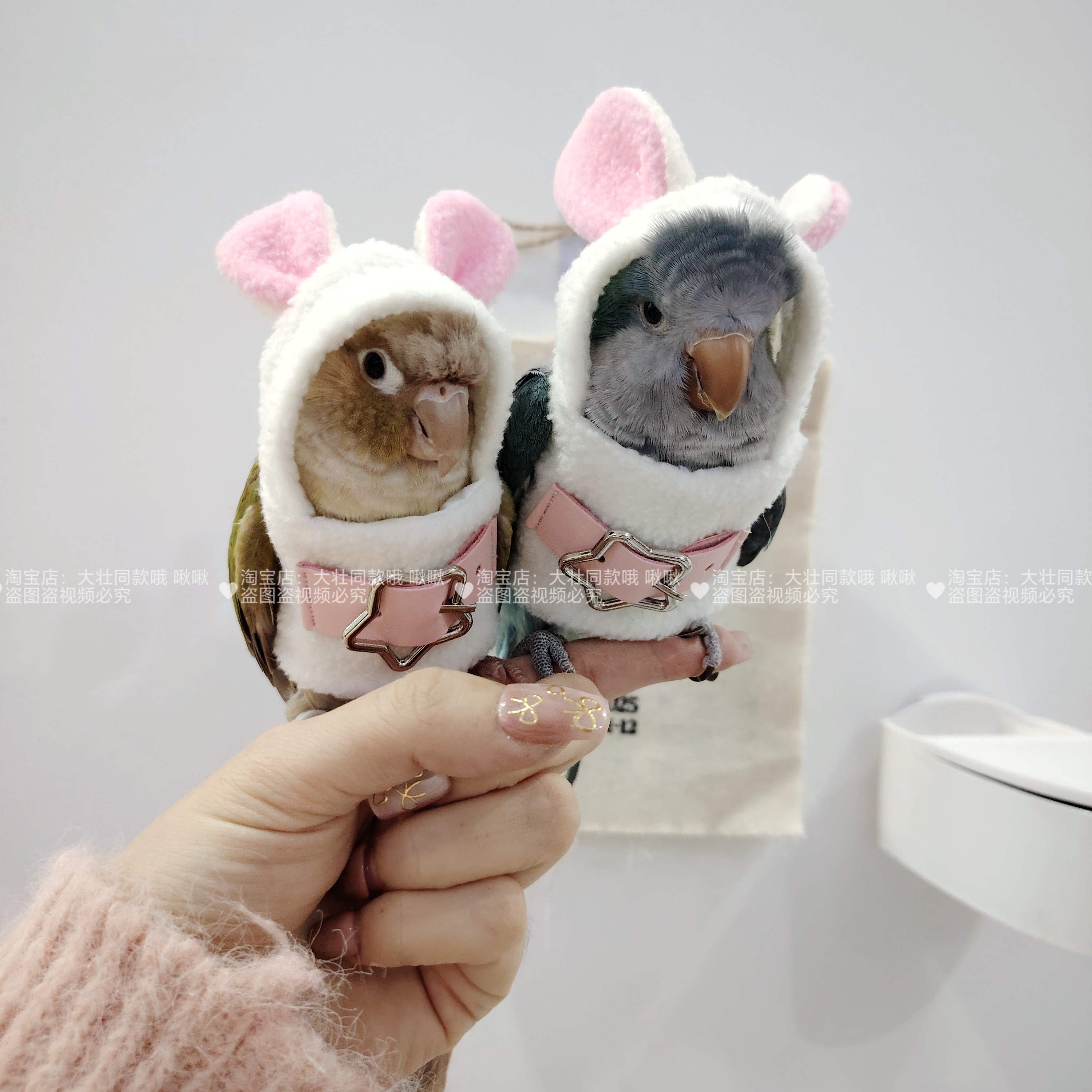 小型宠物玄凤鹦鹉鸟衣服冬季加绒加厚保暖卫衣飞行棉服小兔造型,淘宝优惠券,粉丝福利购,淘宝优惠卷