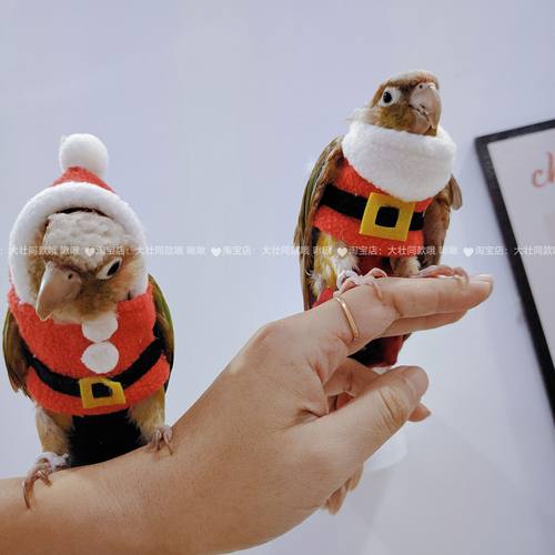 小型鹦鹉鸟保暖过冬厚款卫衣可爱卖萌衣服带领子帽子圣诞服鸟用品 - 图1