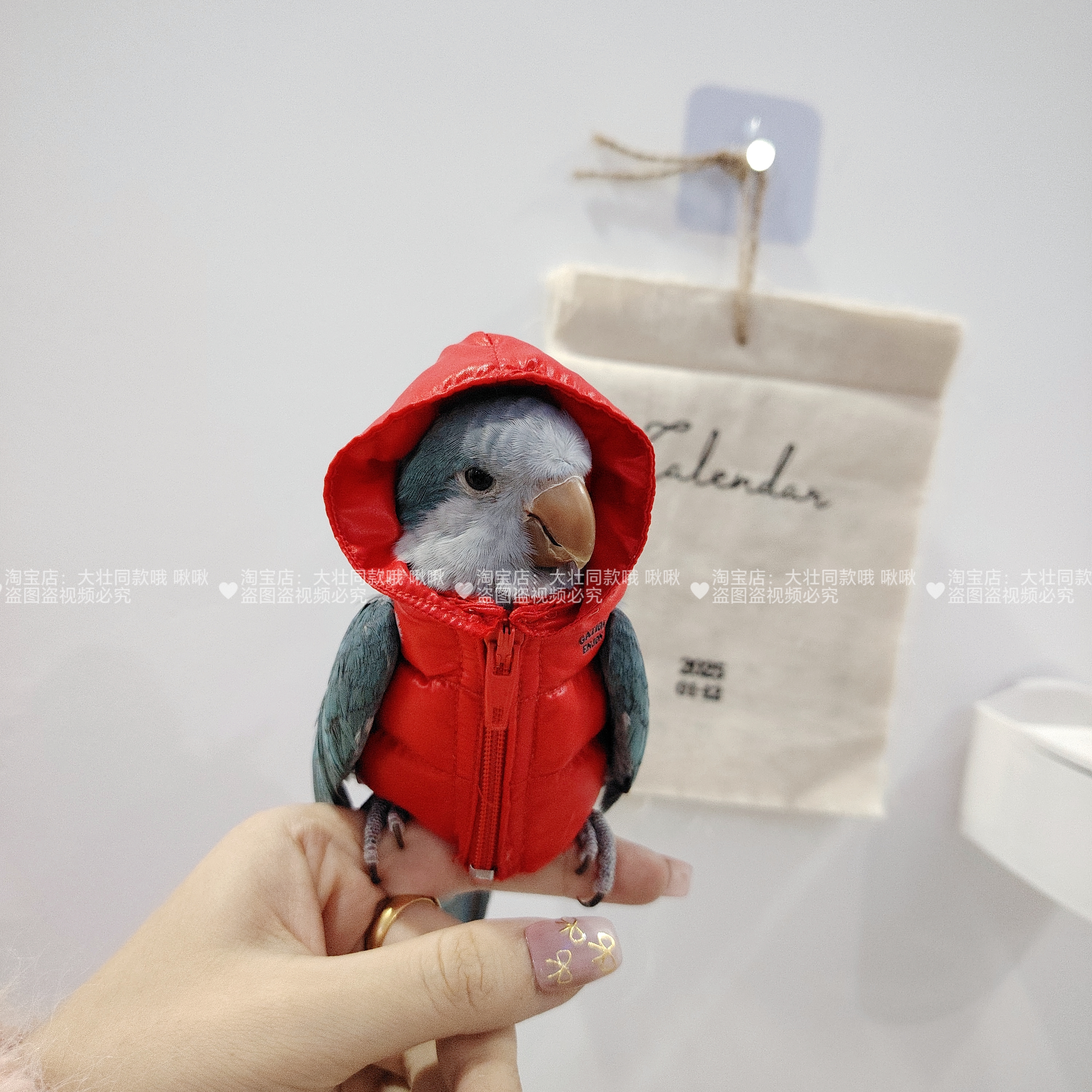 鹦鹉羽绒服鸟衣服鹦鹉棉外套玄凤加厚保暖外出服鹦鹉用品鸟用品 - 图2