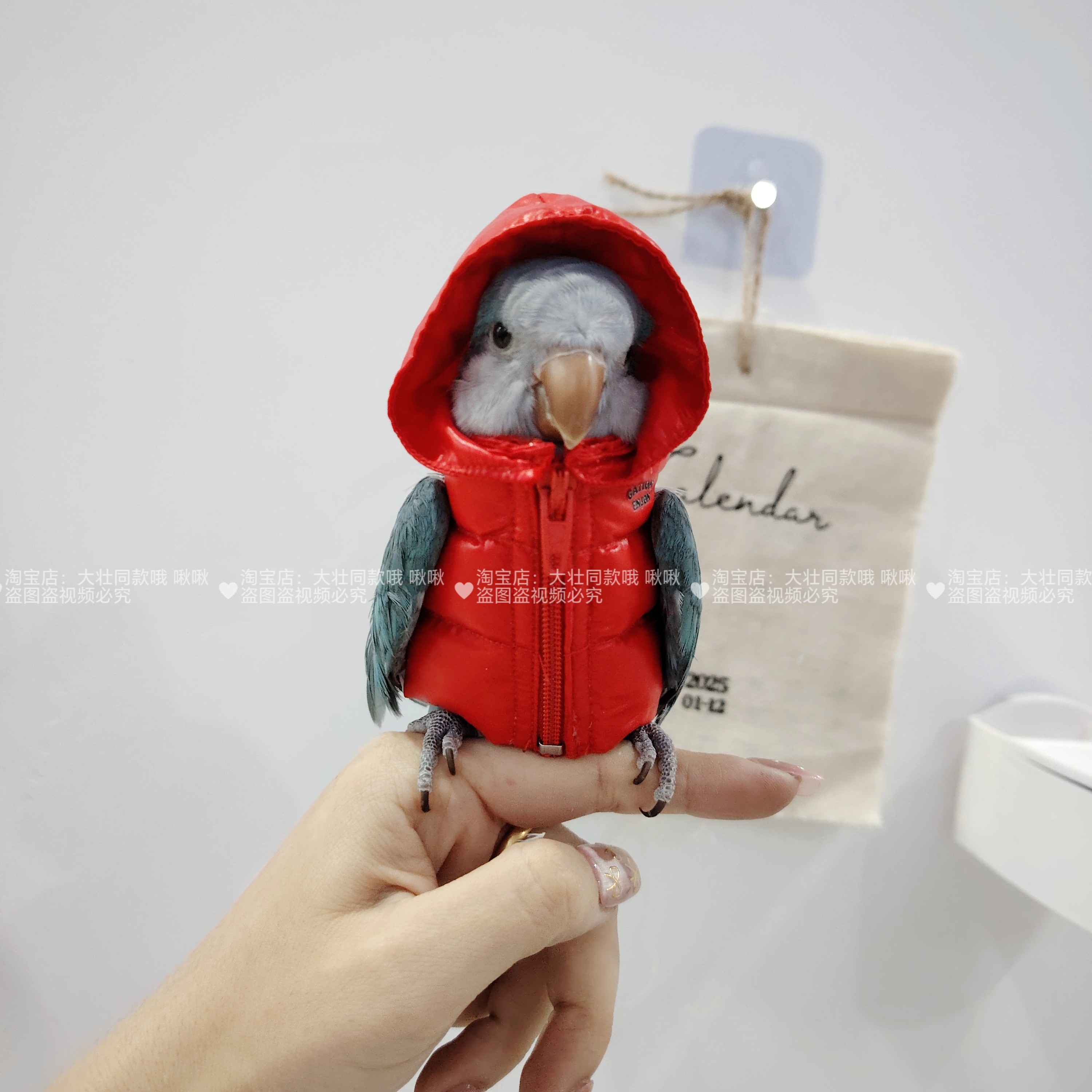 鹦鹉羽绒服鸟衣服鹦鹉棉外套玄凤加厚保暖外出服鹦鹉用品鸟用品 - 图0
