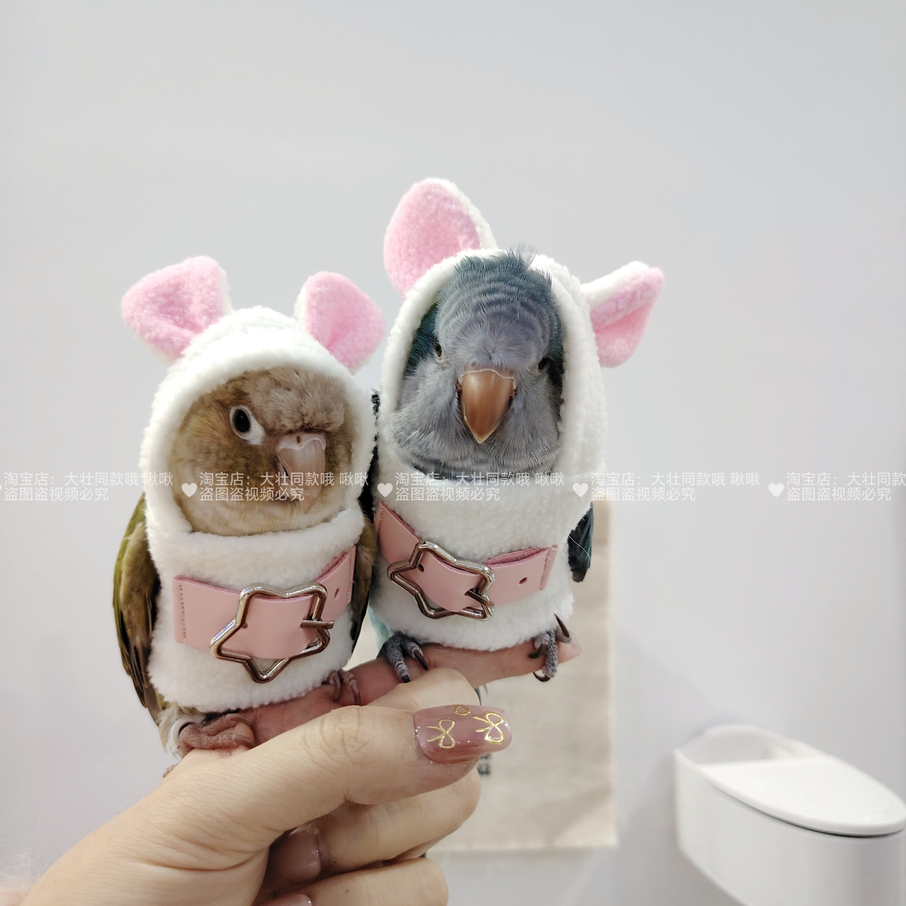 小型宠物玄凤鹦鹉鸟衣服冬季加绒加厚保暖卫衣飞行棉服小兔造型,淘宝优惠券,粉丝福利购,淘宝优惠卷
