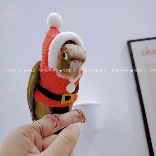 小型鹦鹉鸟保暖过冬厚款卫衣可爱卖萌衣服带领子帽子圣诞服鸟用品 - 图3