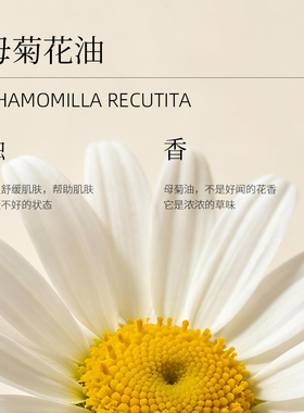 德国洋甘菊+罗马洋甘菊