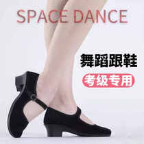 Red Dancing Shoes Northeast Folk Folk Dance Shoes Women Childrens Rubber State Shoots Song Shoes Tibetan Dance Shoes Exam Grade Special Black Heel Shoes