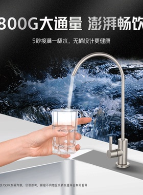 蓝飘尔净水器家用直饮反渗透800G大通量厨下RO纯水机直饮RW-D740