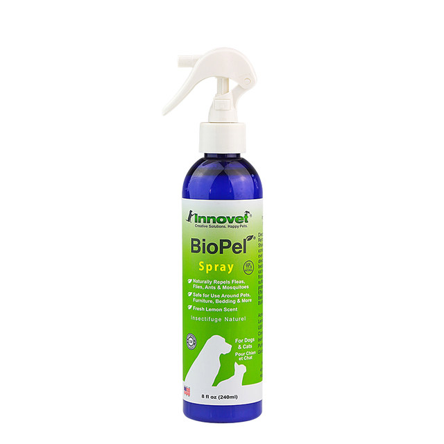 Petinn, Innn, Innn, insect repellent spray pet cats and dogs with fleas and mosquitoes on the body