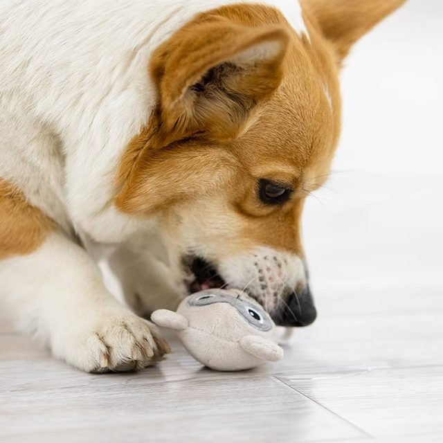 GiGwi dog toy simulation sound toy