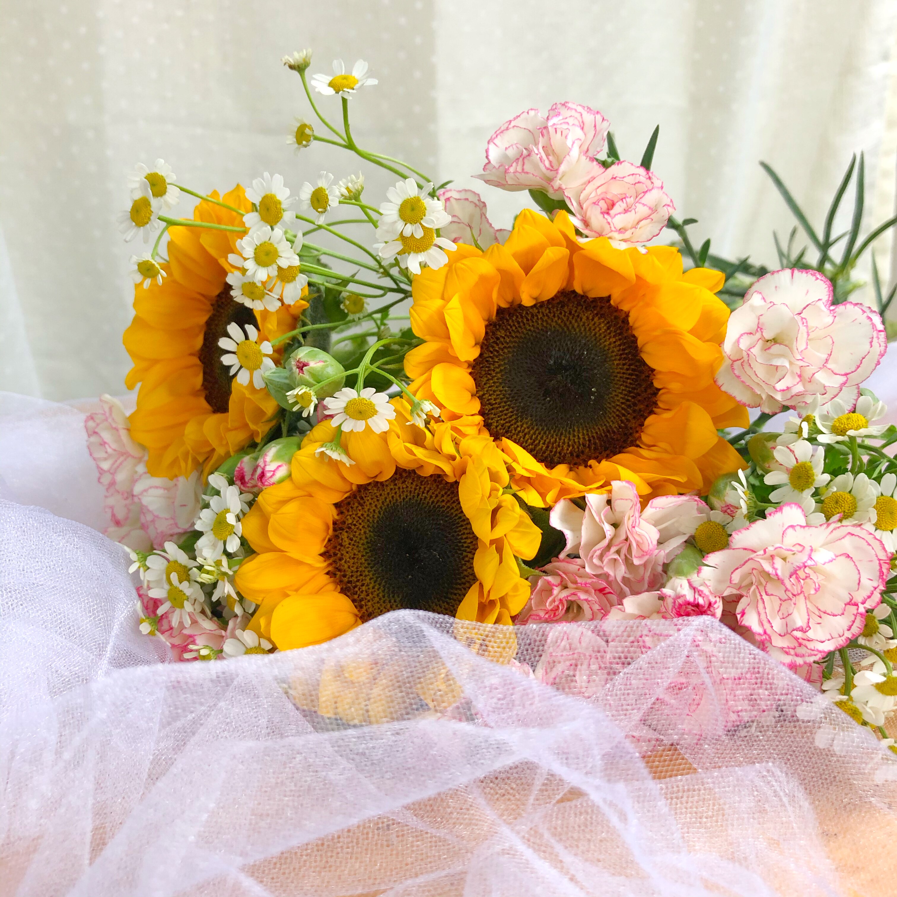 鲜花向日葵混搭百合花束多头玫瑰康乃馨小雏菊芍药洋甘菊云南昆明 虎窝淘