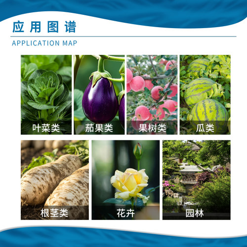 伽利略 大量元素水溶肥平衡型高钾高氮膨果增甜肥料 - 图2