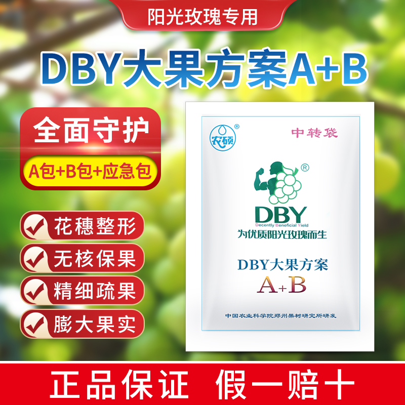郑州果树研究所DBY大果 A+B阳光玫瑰无核化葡萄农用叶面肥 - 图0