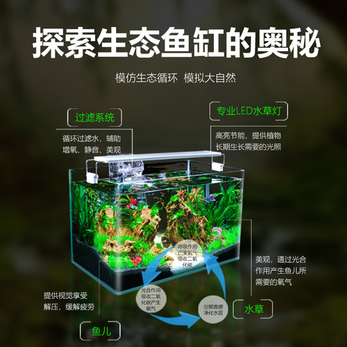 免换水鱼缸造景全套微景观客厅小型家用生态鱼缸水草玻璃金鱼缸 - 图2