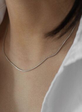 钛钢不掉色蛇骨链小众项链女轻奢颈链高级感锁骨链ins冷淡风配饰