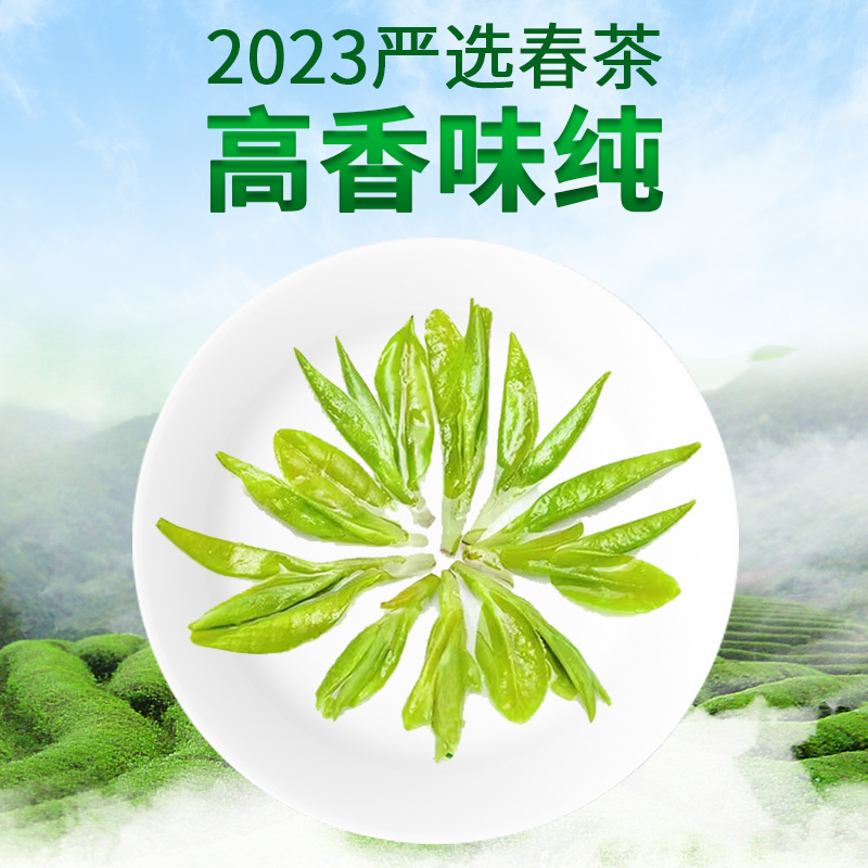 清明前头采龙井茶高品质杭州特产翁家山茶叶2023新茶高山绿茶散装