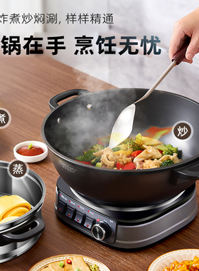 电蒸锅荣事达电蒸锅大按钮