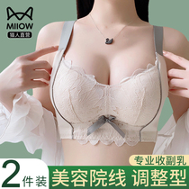 Underwear Women gather small chest collection of small breasts Drooping Adjustment Type Upper Toon Display Big Beauty Back Sexy Autumn Winter Bra Hood